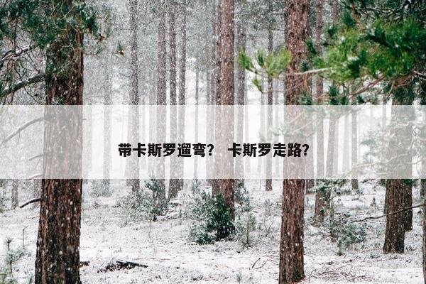 带卡斯罗遛弯？ 卡斯罗走路？