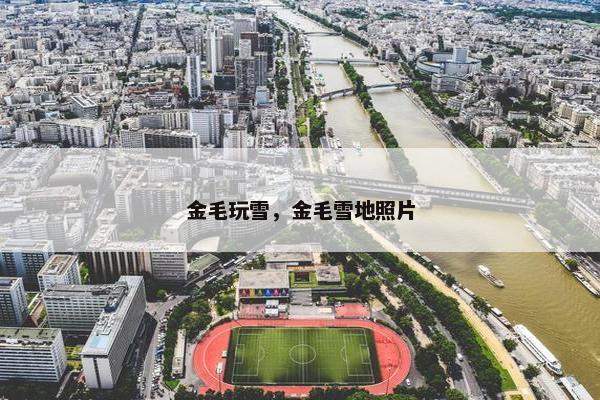 金毛玩雪，金毛雪地照片