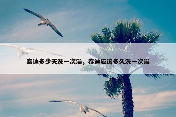 泰迪多少天洗一次澡，泰迪应该多久洗一次澡