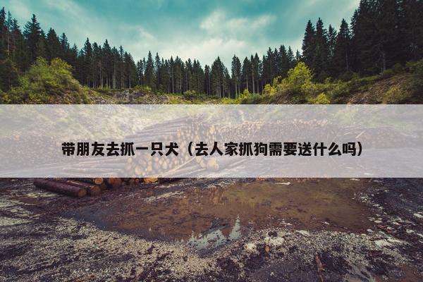 带朋友去抓一只犬（去人家抓狗需要送什么吗）