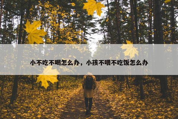小不吃不喝怎么办，小孩不喂不吃饭怎么办