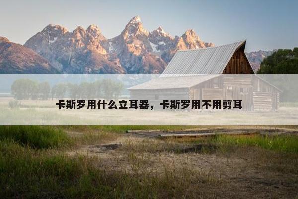 卡斯罗用什么立耳器，卡斯罗用不用剪耳