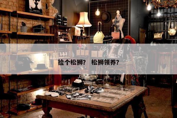 捡个松狮？ 松狮领养？