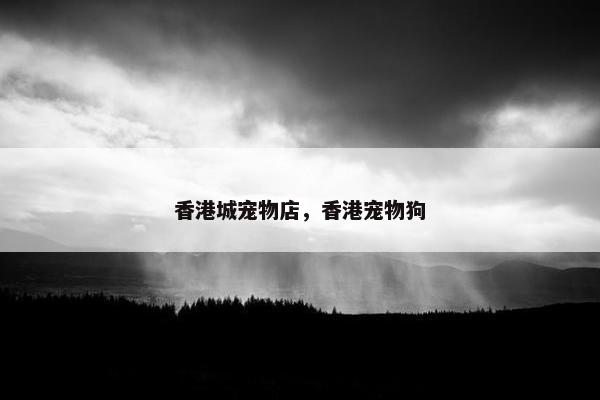 香港城宠物店，香港宠物狗