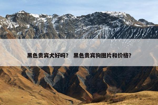 黑色贵宾犬好吗？ 黑色贵宾狗图片和价格？