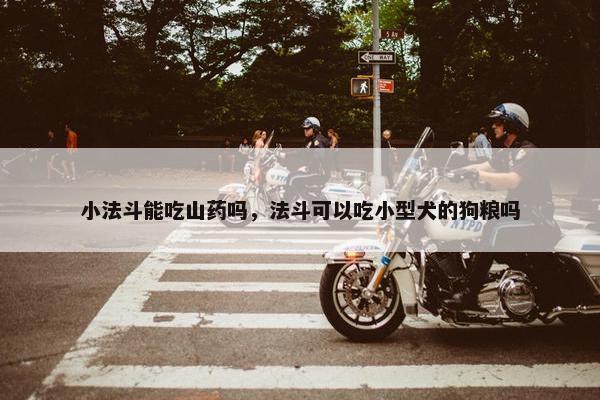 小法斗能吃山药吗，法斗可以吃小型犬的狗粮吗