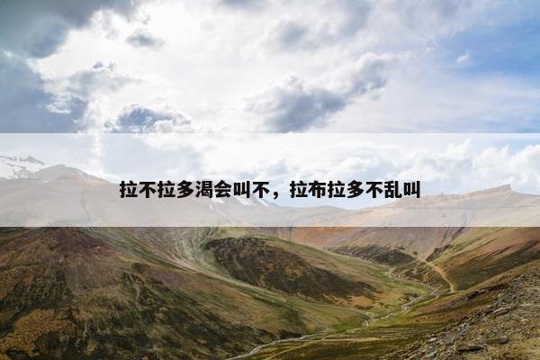 拉不拉多渴会叫不，拉布拉多不乱叫