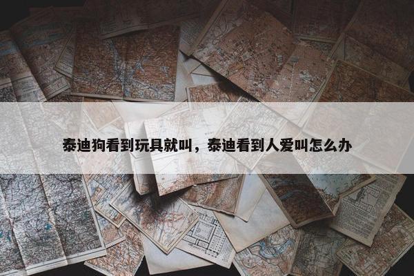 泰迪狗看到玩具就叫，泰迪看到人爱叫怎么办