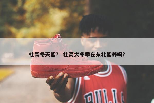 杜高冬天能？ 杜高犬冬季在东北能养吗？