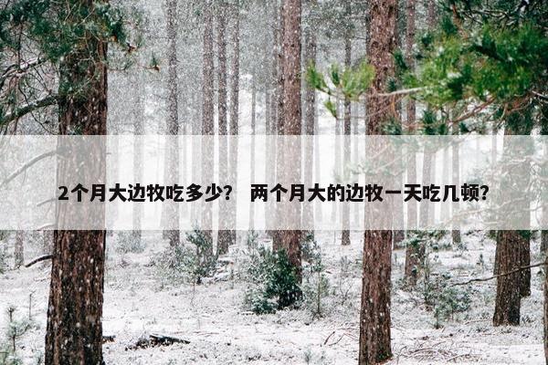 2个月大边牧吃多少？ 两个月大的边牧一天吃几顿？