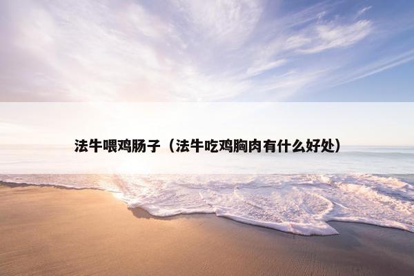 法牛喂鸡肠子（法牛吃鸡胸肉有什么好处）