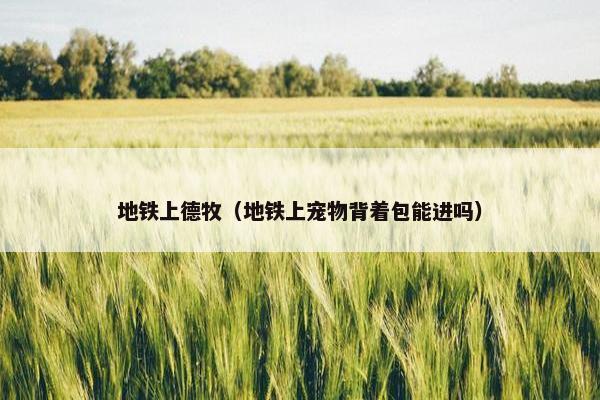 地铁上德牧（地铁上宠物背着包能进吗）