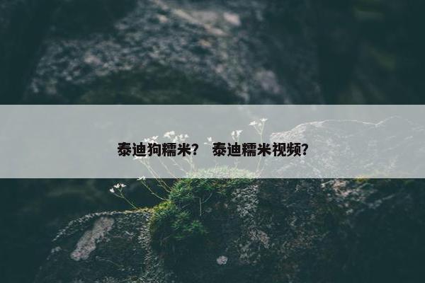 泰迪狗糯米？ 泰迪糯米视频？