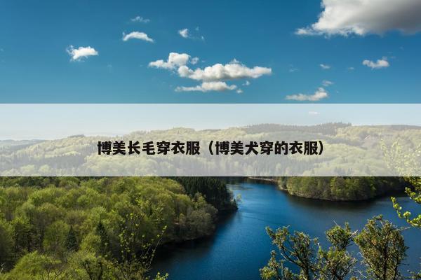 博美长毛穿衣服（博美犬穿的衣服）