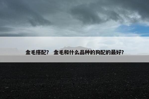 金毛搭配？ 金毛和什么品种的狗配的最好？