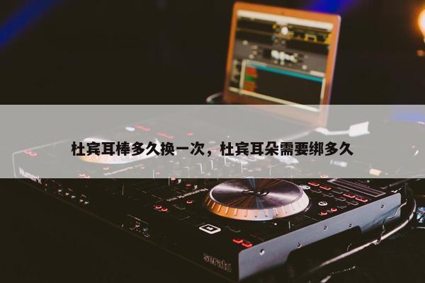 杜宾耳棒多久换一次，杜宾耳朵需要绑多久