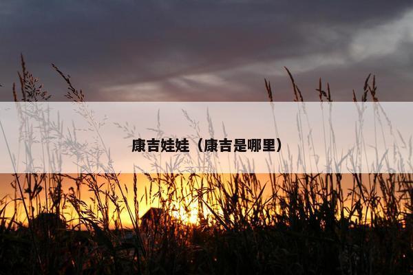 康吉娃娃（康吉是哪里）