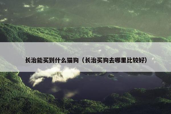 长治能买到什么猫狗（长治买狗去哪里比较好）