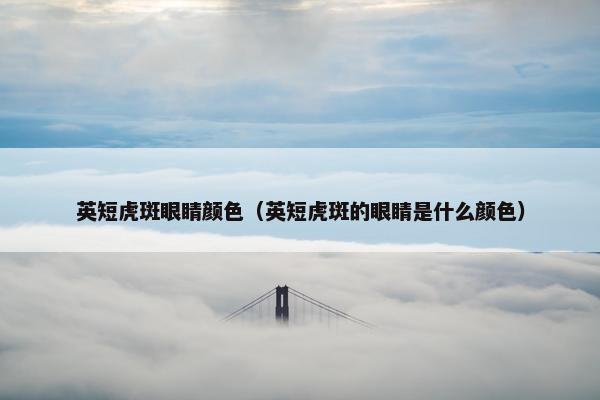 英短虎斑眼睛颜色（英短虎斑的眼睛是什么颜色）