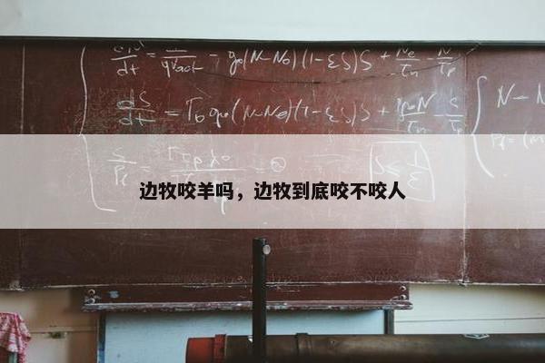 边牧咬羊吗，边牧到底咬不咬人