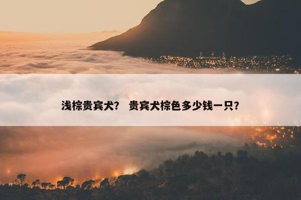 浅棕贵宾犬？ 贵宾犬棕色多少钱一只？