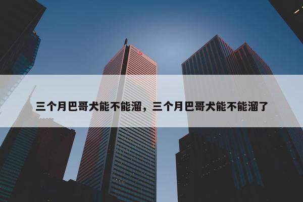 三个月巴哥犬能不能溜，三个月巴哥犬能不能溜了