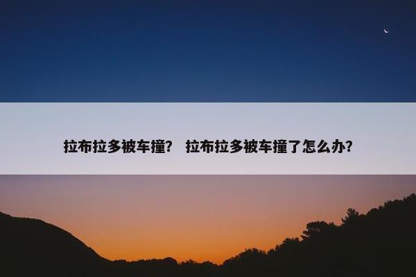 拉布拉多被车撞？ 拉布拉多被车撞了怎么办？