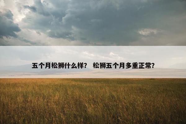 五个月松狮什么样？ 松狮五个月多重正常？