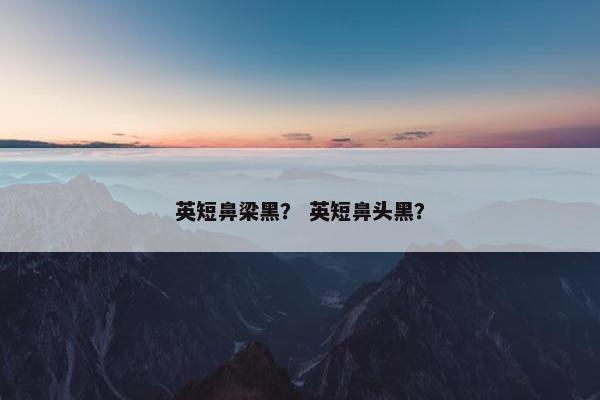 英短鼻梁黑？ 英短鼻头黑？