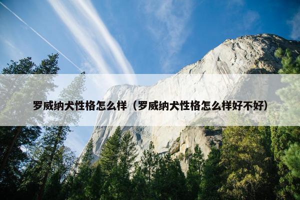 罗威纳犬性格怎么样（罗威纳犬性格怎么样好不好）