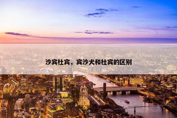 沙宾杜宾，宾沙犬和杜宾的区别
