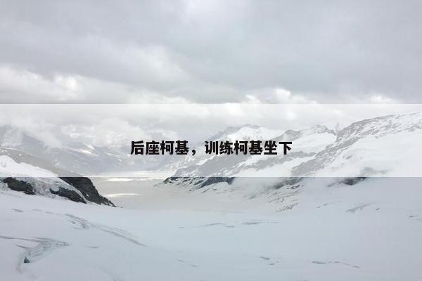 后座柯基，训练柯基坐下