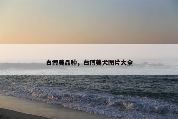 白博美品种，白博美犬图片大全
