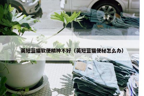 英短蓝猫软便精神不好（英短蓝猫便秘怎么办）
