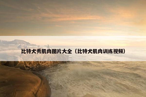 比特犬秀肌肉图片大全（比特犬肌肉训练视频）