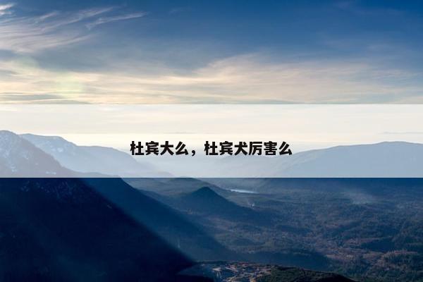 杜宾大么，杜宾犬厉害么