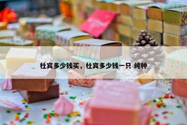 杜宾多少钱买，杜宾多少钱一只 纯种