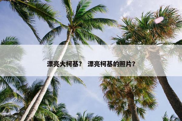 漂亮大柯基？ 漂亮柯基的照片？
