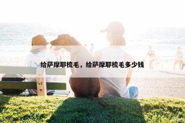 给萨摩耶梳毛，给萨摩耶梳毛多少钱
