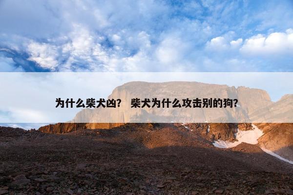 为什么柴犬凶？ 柴犬为什么攻击别的狗？