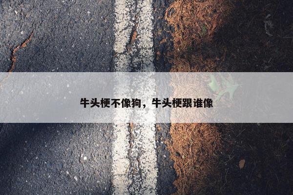 牛头梗不像狗，牛头梗跟谁像