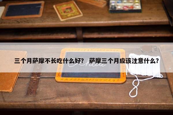 三个月萨摩不长吃什么好？ 萨摩三个月应该注意什么？