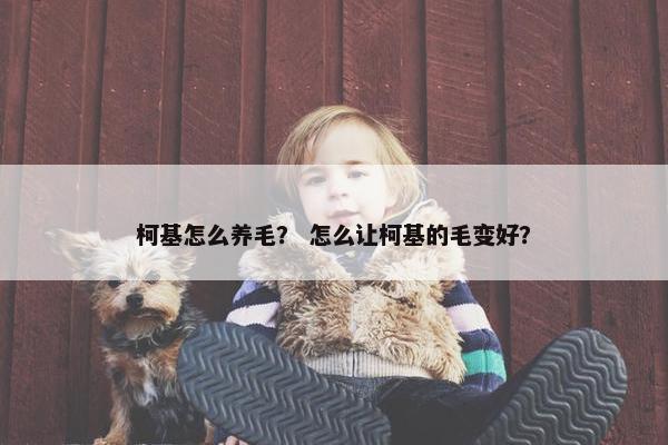 柯基怎么养毛？ 怎么让柯基的毛变好？