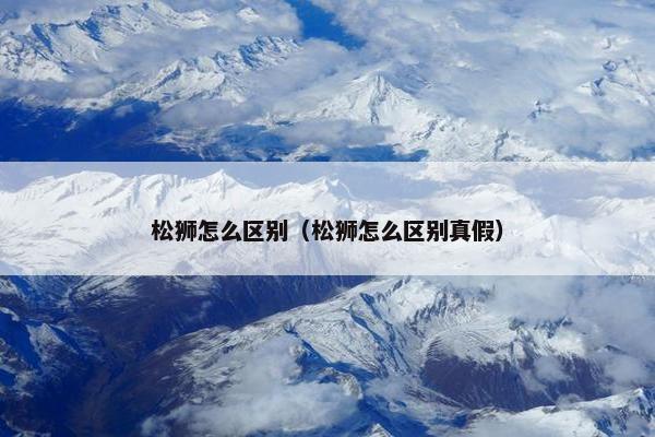 松狮怎么区别（松狮怎么区别真假）
