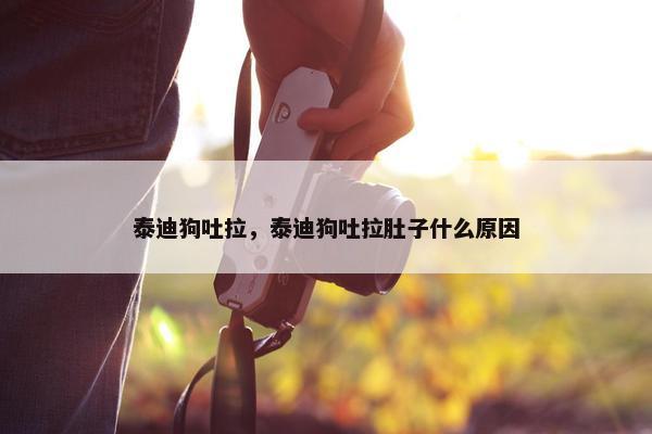 泰迪狗吐拉，泰迪狗吐拉肚子什么原因