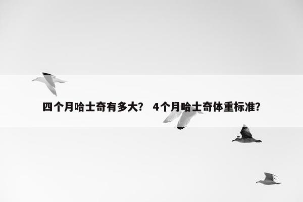 四个月哈士奇有多大？ 4个月哈士奇体重标准？