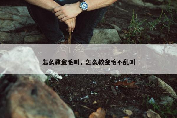 怎么教金毛叫，怎么教金毛不乱叫