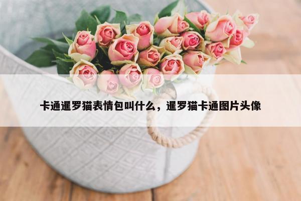 卡通暹罗猫表情包叫什么，暹罗猫卡通图片头像