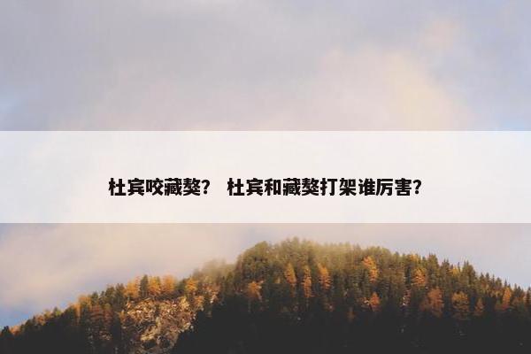 杜宾咬藏獒？ 杜宾和藏獒打架谁厉害？