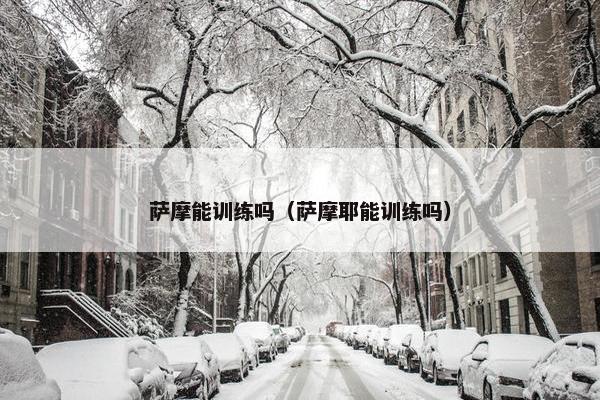 萨摩能训练吗（萨摩耶能训练吗）